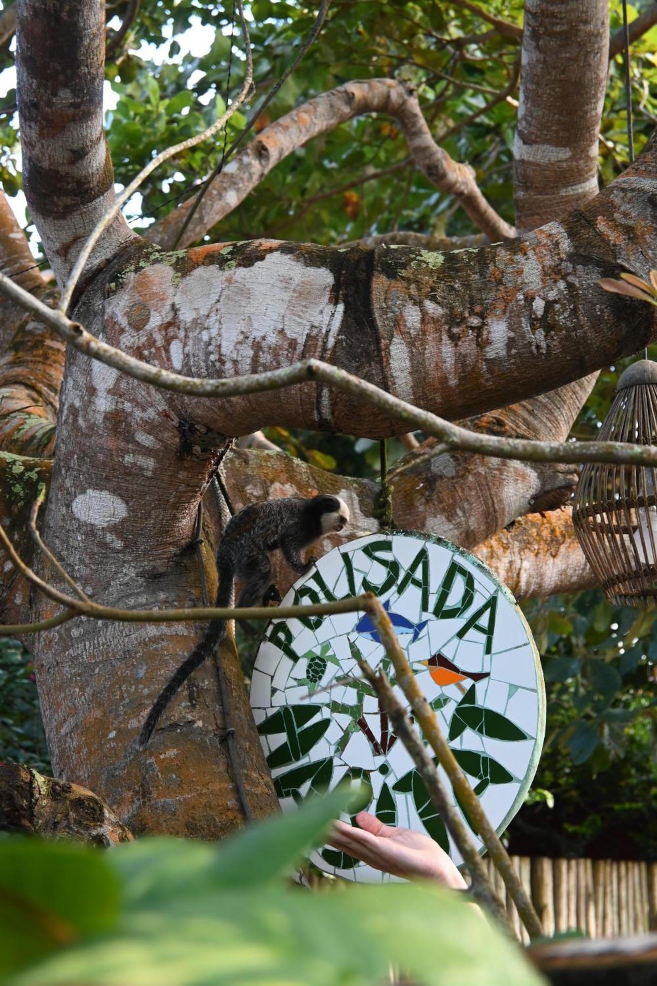 Pousada Habitat Caraíva 외부 사진