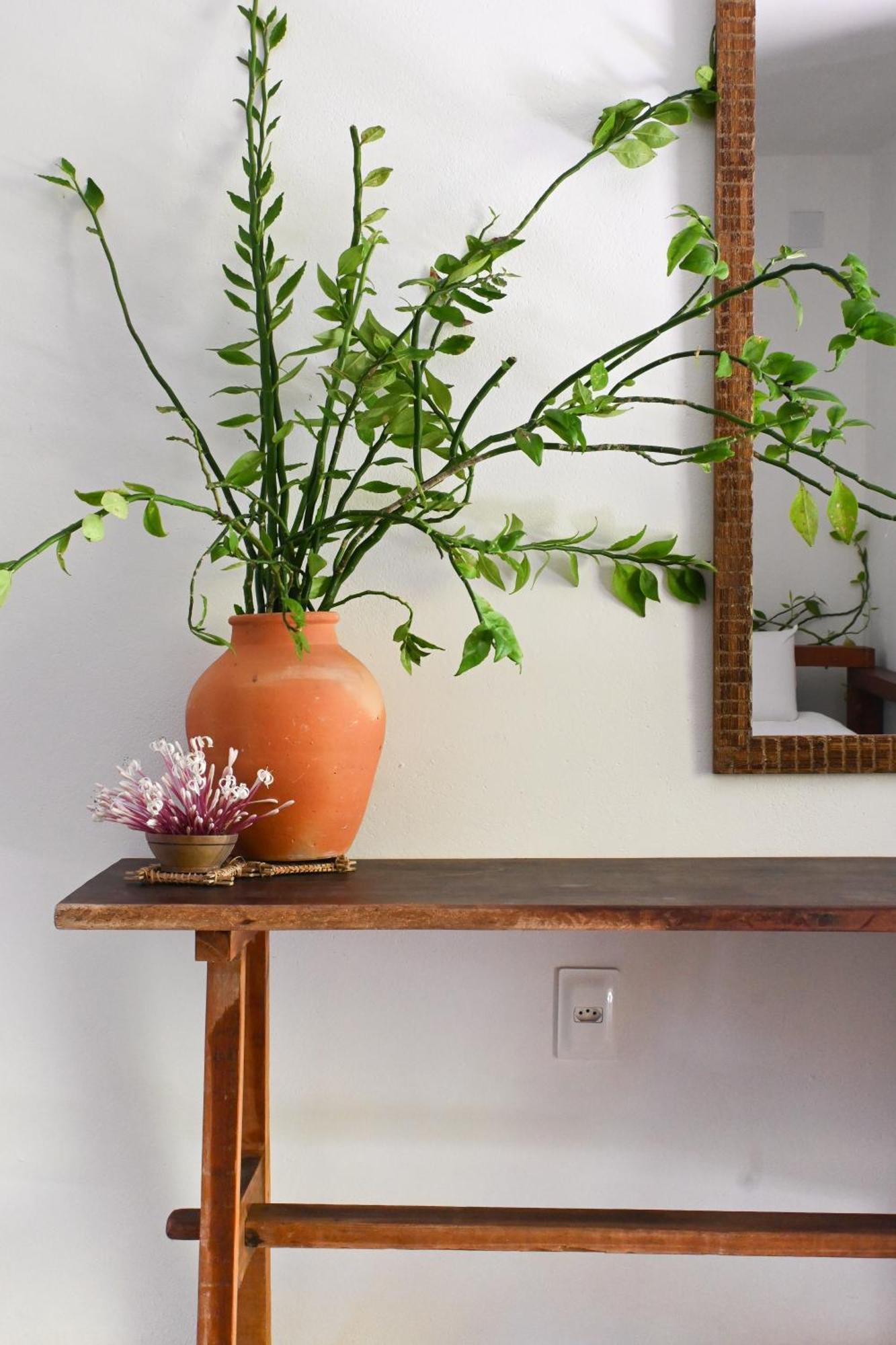Pousada Habitat Caraíva 외부 사진